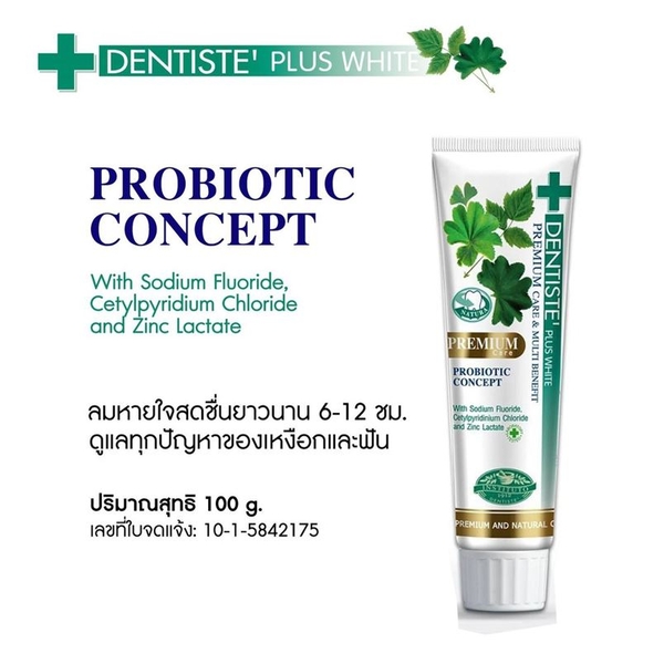 Dentiste Plus White Premium Care長效保護牙膏 100g