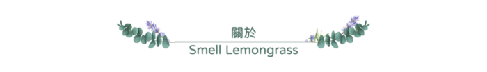 Smell Lemongrass 天然香氛磚(含空氣芳香袋) - 檸檬草 30g [泰國必買]