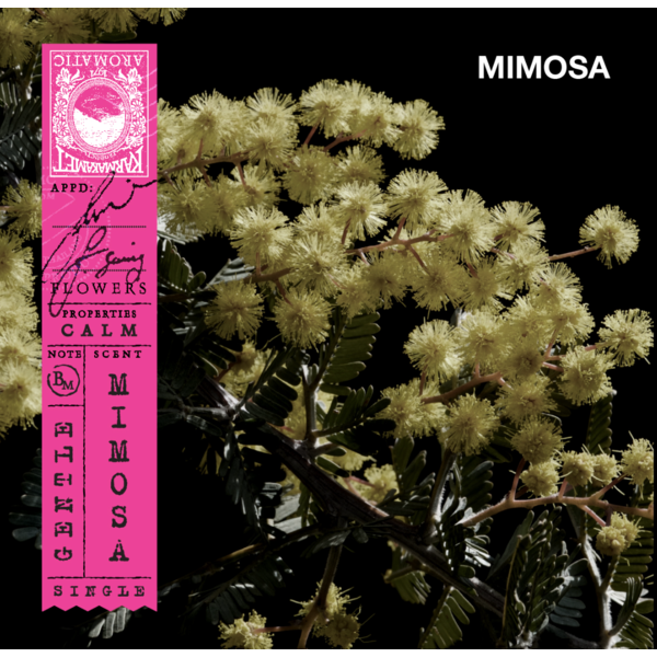 Karmakamet 含羞草香氛保濕沐浴露 (Mimosa) 340ml