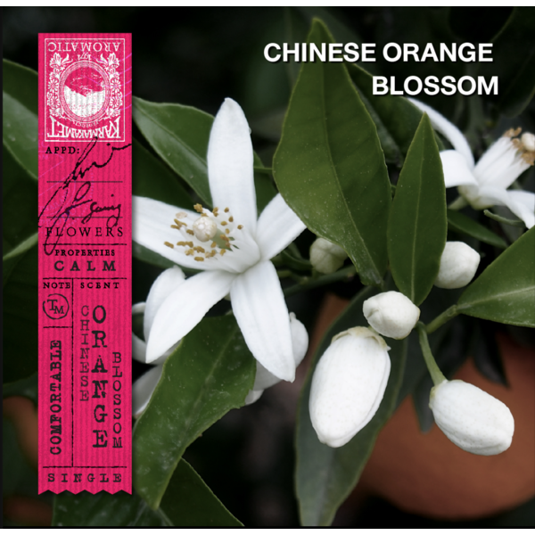 Karmakamet -  Original Moisturizing Shower Gel - Scent Chinese Orange Blossom 340ml.