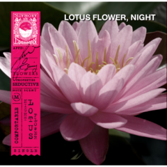 Karmakamet -  Original Moisturizing Hand Wash - Scent Night Lotus Flower  290ml.