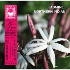 Karmakamet 北印度茉莉香氛玻璃蠟燭 (Northern Indian Jasmine) 185g