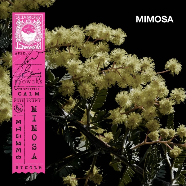 Karmakamet 含羞草香氛玻璃蠟燭 (Mimosa) 185g