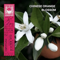 Karmakamet 中國橙花香氛玻璃蠟燭 (Chinese Orange Blossom) 185g