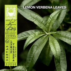 Karmakamet 檸檬馬鞭草香氛玻璃蠟燭 (Lemon Verbena Leaves) 185g