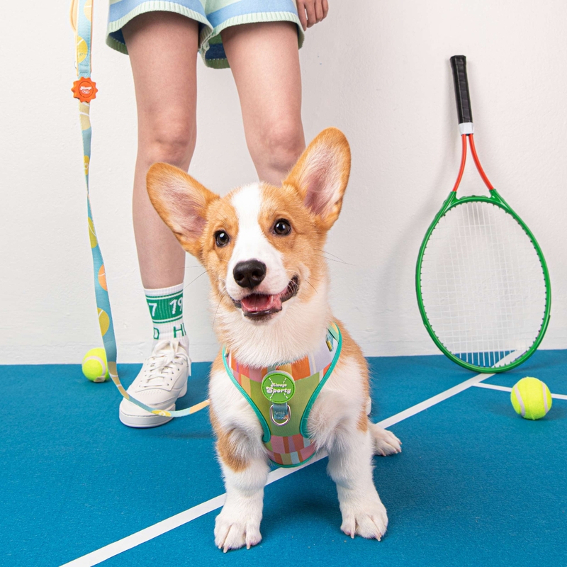 Doggu Pets - Always Sporty 寵物胸背帶＆牽繩組 (S碼)