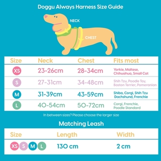 Doggu Pets - Always Sporty 寵物胸背帶＆牽繩組 Size M
