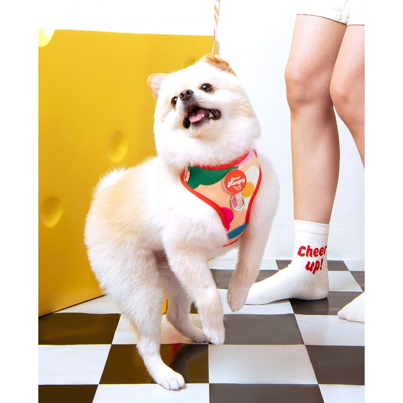 Doggu Pets - Always Hungry 寵物胸背帶＆牽繩組 XS