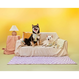 Doggu Pets - Perry 寵物胸背帶＆牽繩組 (XS碼) Sunday Morning 系列