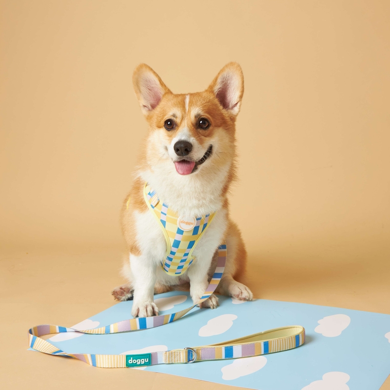 Doggu Pets - Perry 寵物胸背帶＆牽繩組 (S碼) Sunday Morning 系列